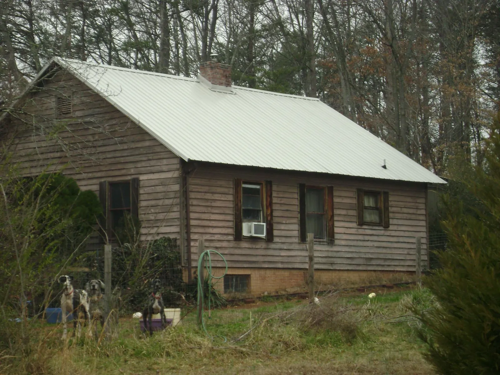 White metal roof on an old wood sided farmhouse, from a Asphalt Shingle Roof Repair job in Old Town